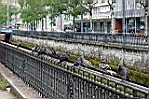 20050722-134540-02.jpg