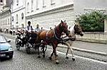 20050813-122350-02.jpg