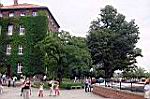 20050813-124120-02.jpg