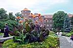 20050813-135650-02.jpg