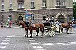 20050813-140708-02.jpg