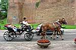 20050813-140740-02.jpg