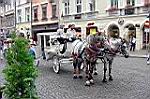 20050813-141552-02.jpg