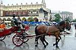 20050813-143340-02.jpg