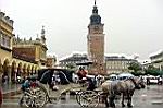 20050813-143722-02.jpg