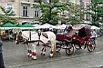 20050813-143820-02.jpg