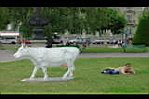 20050719-150424-01.JPG