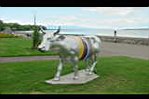 20050719-154720-01.JPG