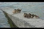 20050719-155138-01.JPG