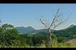 20050717-122320-01.JPG