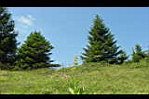 20050715-135400-01.JPG