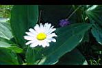20050715-135536-01.JPG