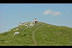 20050715-140516-01.JPG