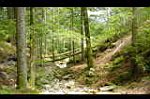 20060713-141750-01.JPG