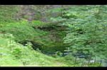 20060713-154412-01.JPG