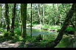20060716-123726-01.JPG