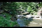 20060716-133300-01.JPG