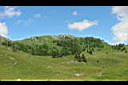 20070707-130258-01.JPG
