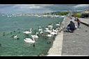 20070706-152500-01.JPG