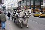 20041204-114844-01.JPG