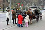 20041204-123244-01.JPG